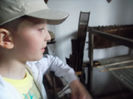 muzee 5.06.2014 (31)