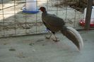 DSC07395