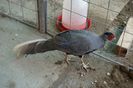 DSC07408