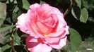 20140612_141522