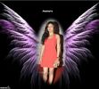 angelwings1sqry14xnorma