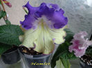 Hamlet (13-06-2014)