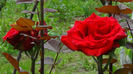 DSC01636