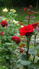 DSC01637