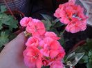 20140613_084305