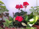 20140613_084041