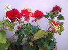 20140613_084035