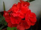 20140613_083918