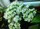 20140613_083726