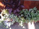 20140613_083603
