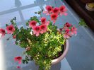 20140613_083805