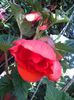 20140613_083320