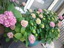 20140613_113040