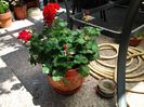 20140613_125710