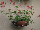20140613_125608