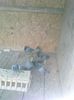 CAM00139