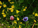 DSCN7771