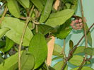 DSCN7790
