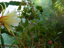 DSCN7837