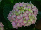 DSCN7880