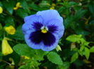 DSCN7882