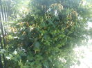 DSC08493