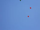 DSCN4010