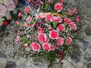 DSCN4044
