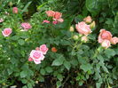P1019383