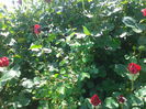 2014-05-25 13.54.19