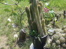 2014-05-25 13.54.35