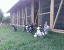 IMG_20140613_152013