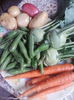 gulii+bob-legume din gradina mea