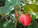 20140614_104359