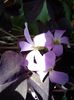 20140614_104108