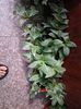 20140614_104049