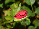 DSCN8072
