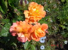 DSC04764