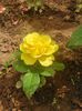 tmp_DSC_0021-1600983686