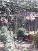 IMG_20140614_093519