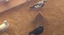 WP_20140613_18_27_11_Pro