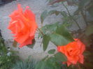 DSC09614