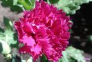 20140615_094757