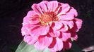 20140612_165001