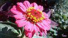 20140615_094847