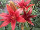 20140613_174340