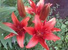 20140613_174351