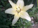 20140613_174413