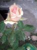 20140613_174714