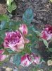 20140613_174133